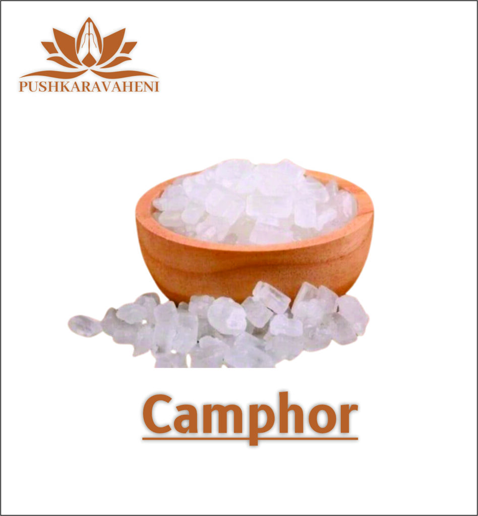 products website 01 (1)